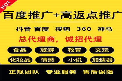 成功企业SEM竞价代运营案例研究